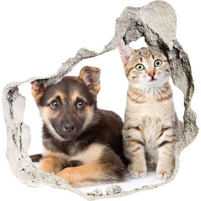 Fototapeta diera na stenu 3D Pes a mačka