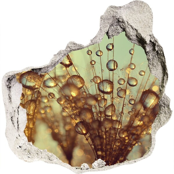 Samolepiaca diera na stenu Kvapky na jemné vlasy