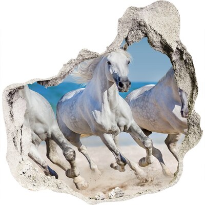 Samolepiaca diera na stenu White horse beach