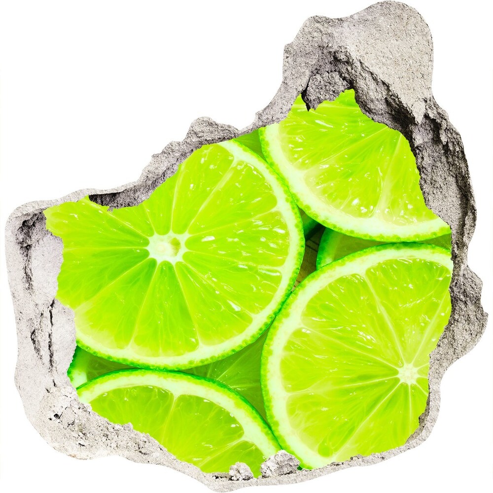 3D diera na stenu Limes