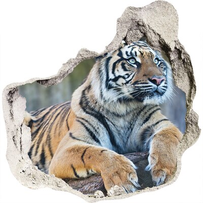 Samolepiaca diera na stenu Tiger