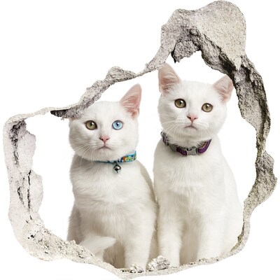 Nálepka 3D diera na stenu Biele mačky