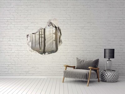 Diera 3D fototapety nálepka Hmlistý les v rannom svetle