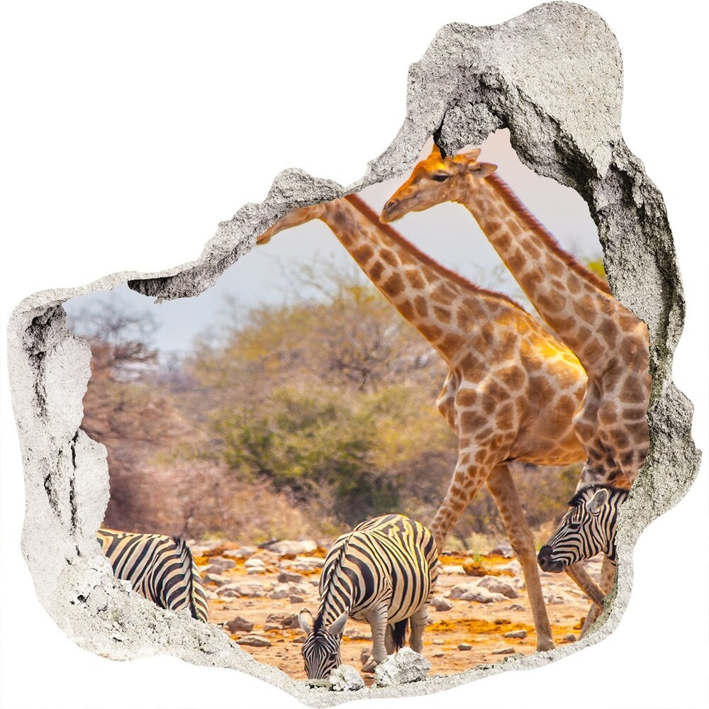 Nálepka 3D diera na stenu Žirafy a zebry