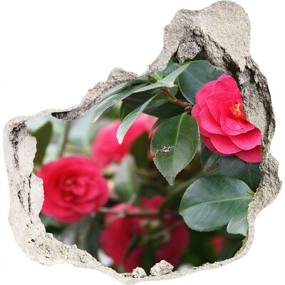 Nálepka fototapeta 3D výhľad Kvetinová záhrada z betónu