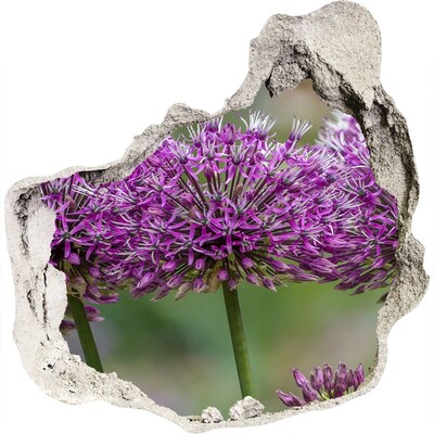 Nálepka 3D diera betón Cesnak kvet
