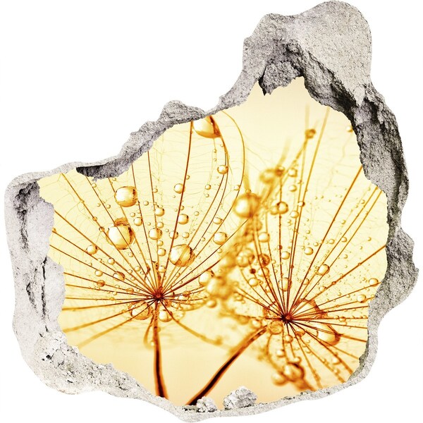 Samolepiaca diera nálepka betón Zlaté kvety v betóne