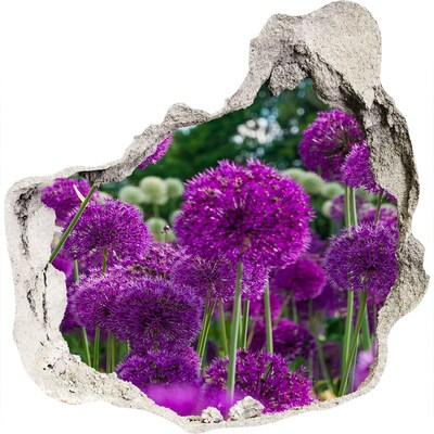 Fototapeta diera na stenu 3D Kvety cesnak
