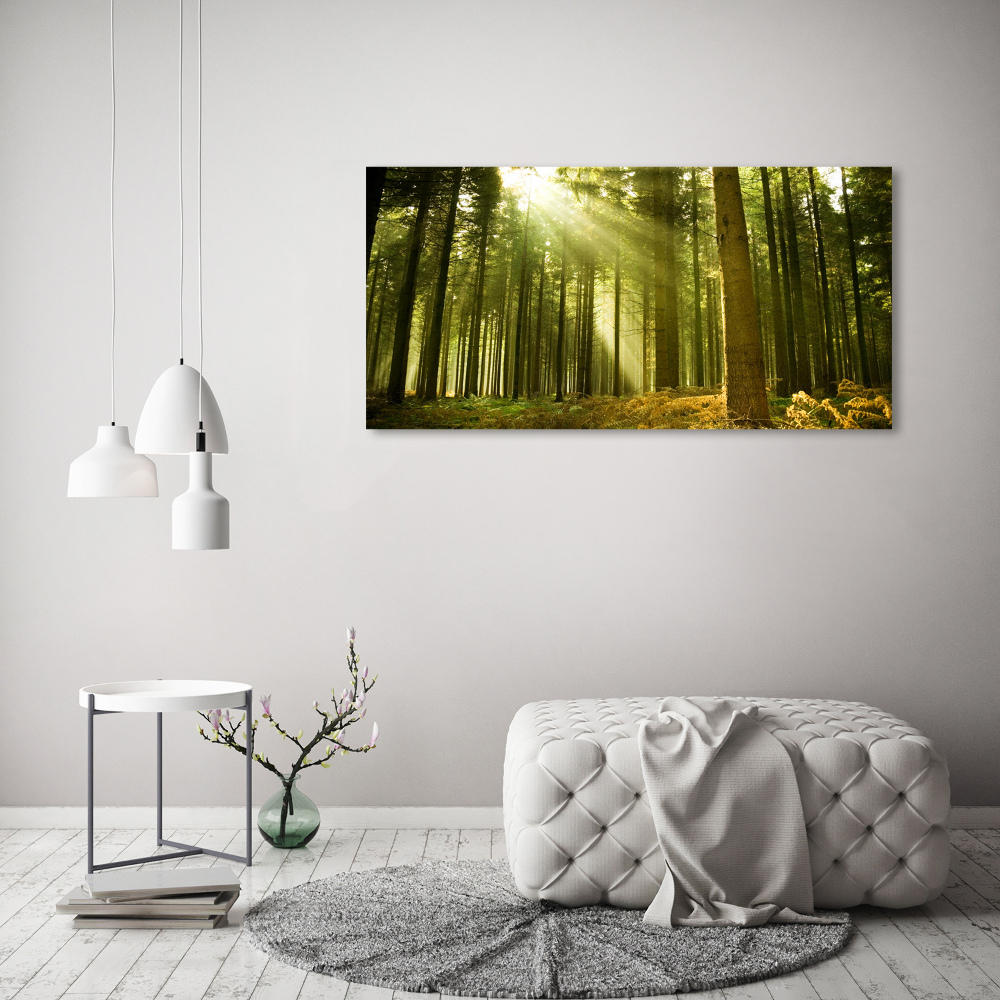 Moderný akrylový fotoobraz Sosnová les