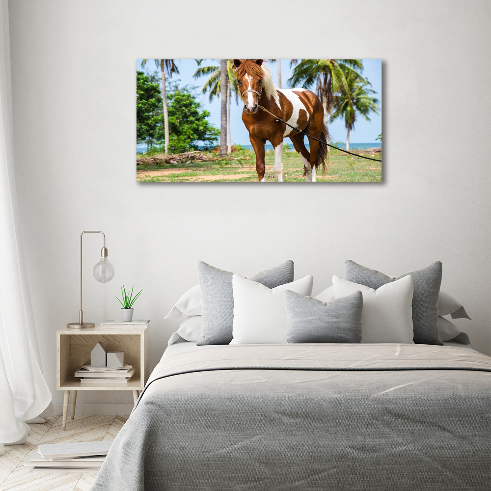 Moderný akrylový fotoobraz Strakatý kôň