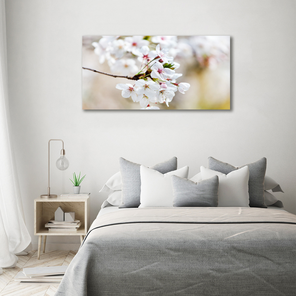Foto obraz akrylový na stenu Kvety višne