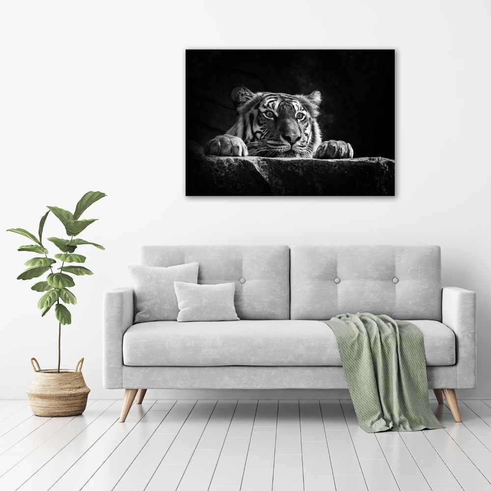Foto obraz akrylové sklo Tiger