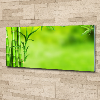 Foto obraz akrylový Bambus