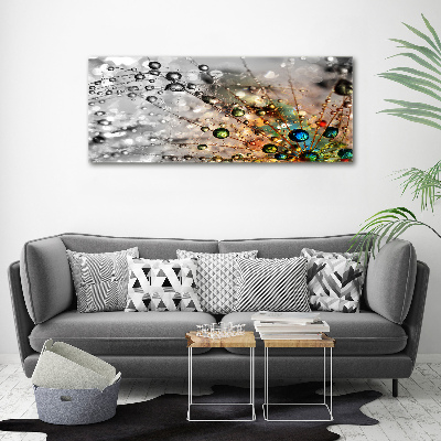 Moderný akrylový fotoobraz Semeno púpavy