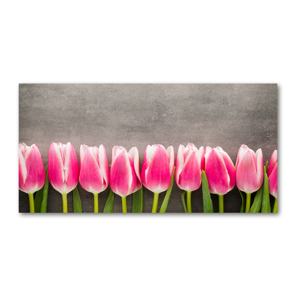 Foto obraz akrylový na stenu Ružové tulipány