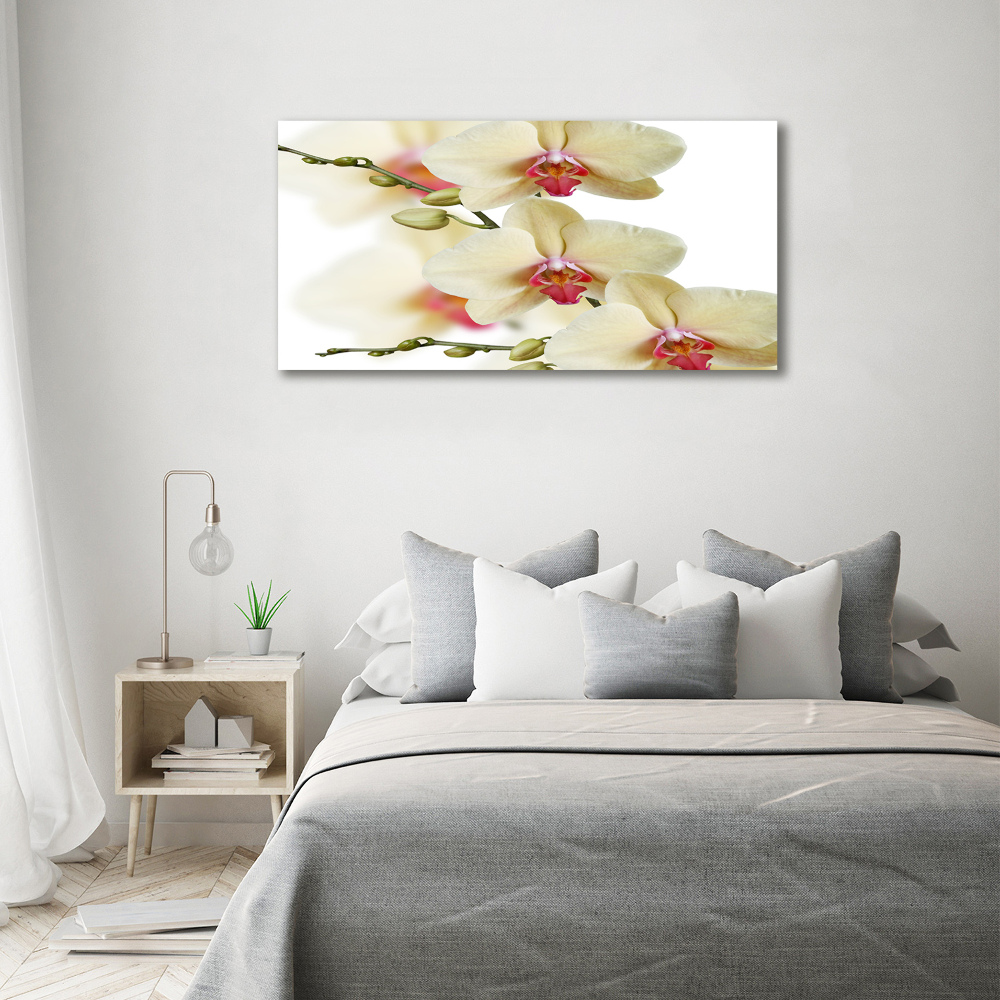 Foto obraz akryl do obývačky Orchidea