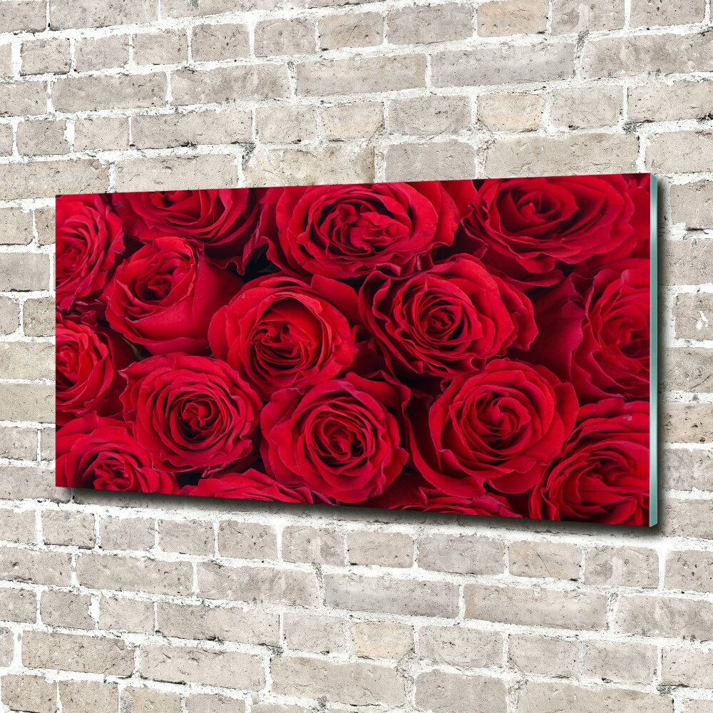 Foto obraz akrylový na stenu Ruže
