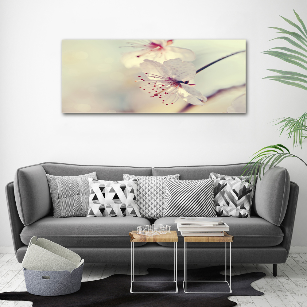 Moderný akrylový fotoobraz Kvet višne