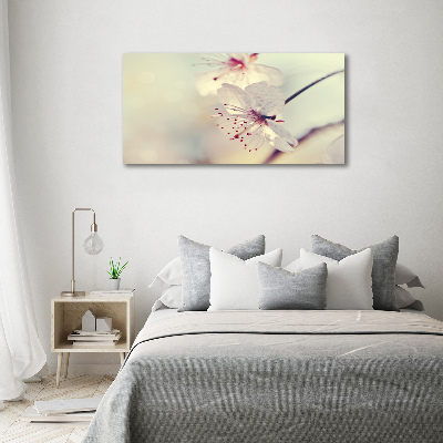 Moderný akrylový fotoobraz Kvet višne