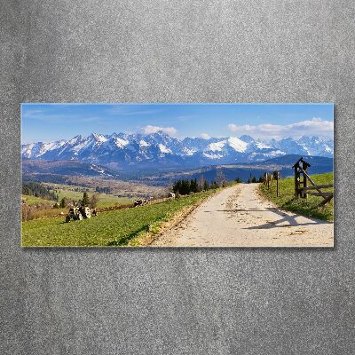 Foto obraz akrylový na stenu Panorama Tatier