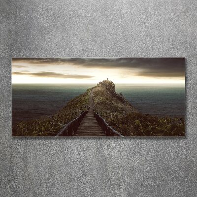 Foto obraz akrylový Chodník na skale