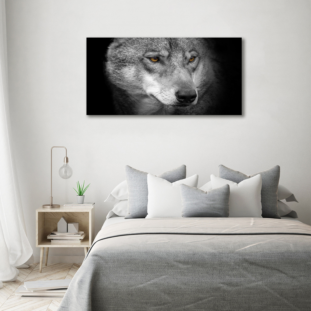 Foto obraz akrylový na stenu Vlk