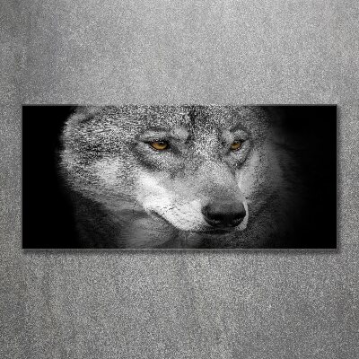 Foto obraz akrylový na stenu Vlk