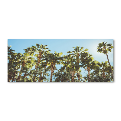 Foto obraz akryl do obývačky Vysoké palmy
