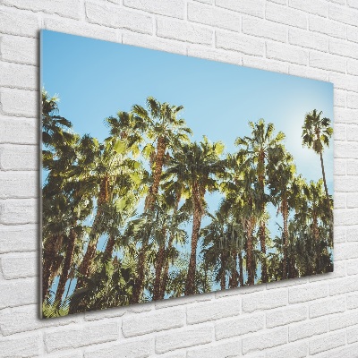 Foto obraz akryl do obývačky Vysoké palmy