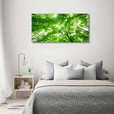 Foto obraz akrylové sklo Zelený les