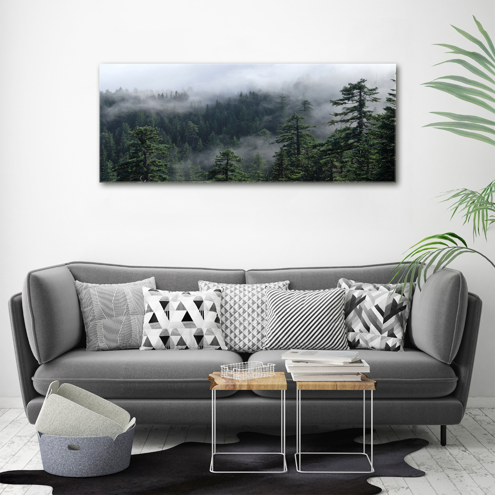 Foto obraz akryl do obývačky Lesná hmla