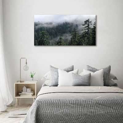Foto obraz akryl do obývačky Lesná hmla