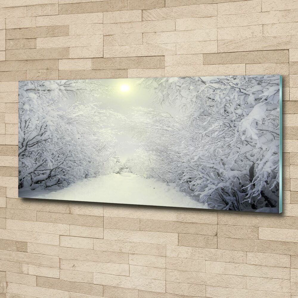 Foto obraz akrylové sklo Pekný zimný les