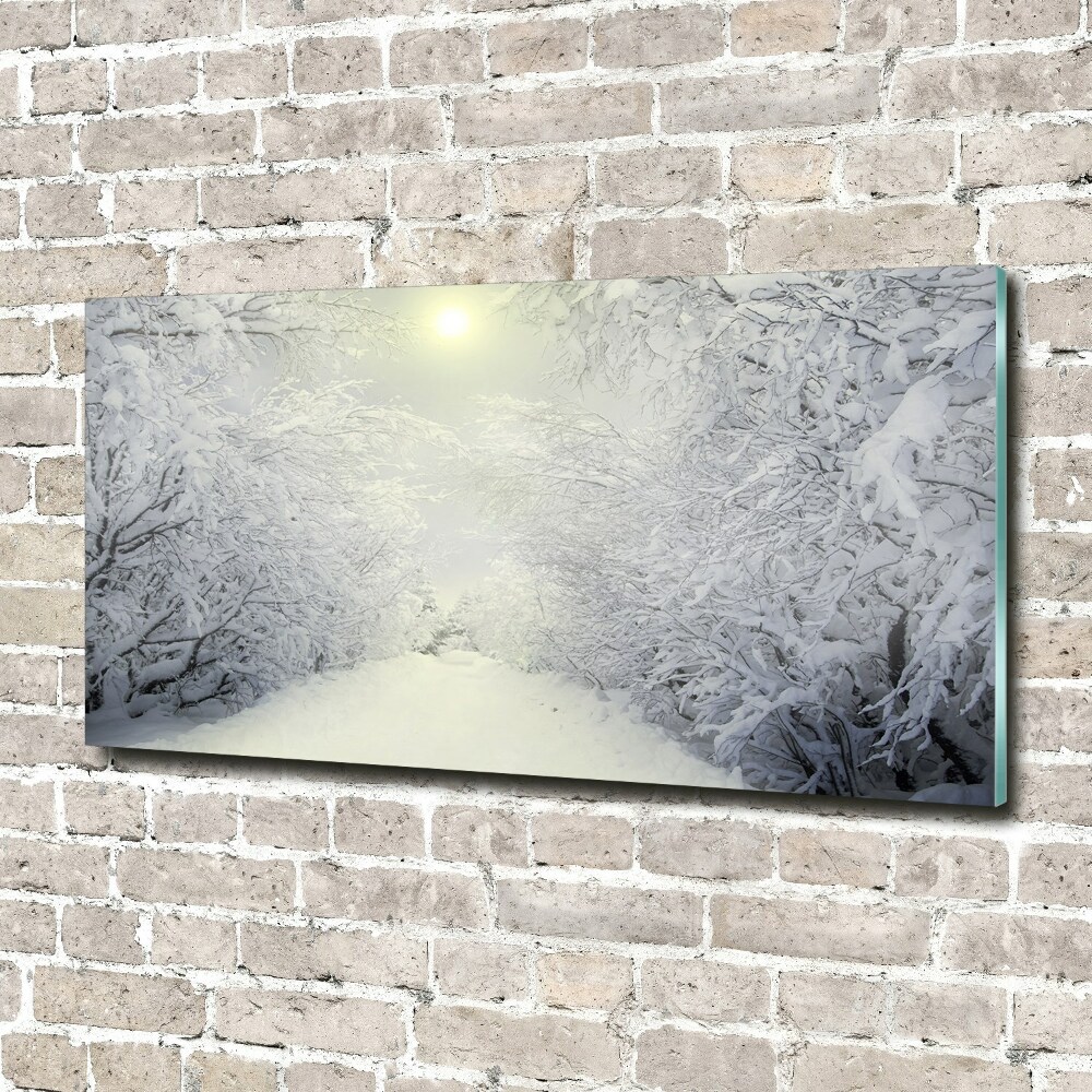 Foto obraz akrylové sklo Pekný zimný les
