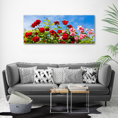 Foto obraz akrylový na stenu Divoké ruže