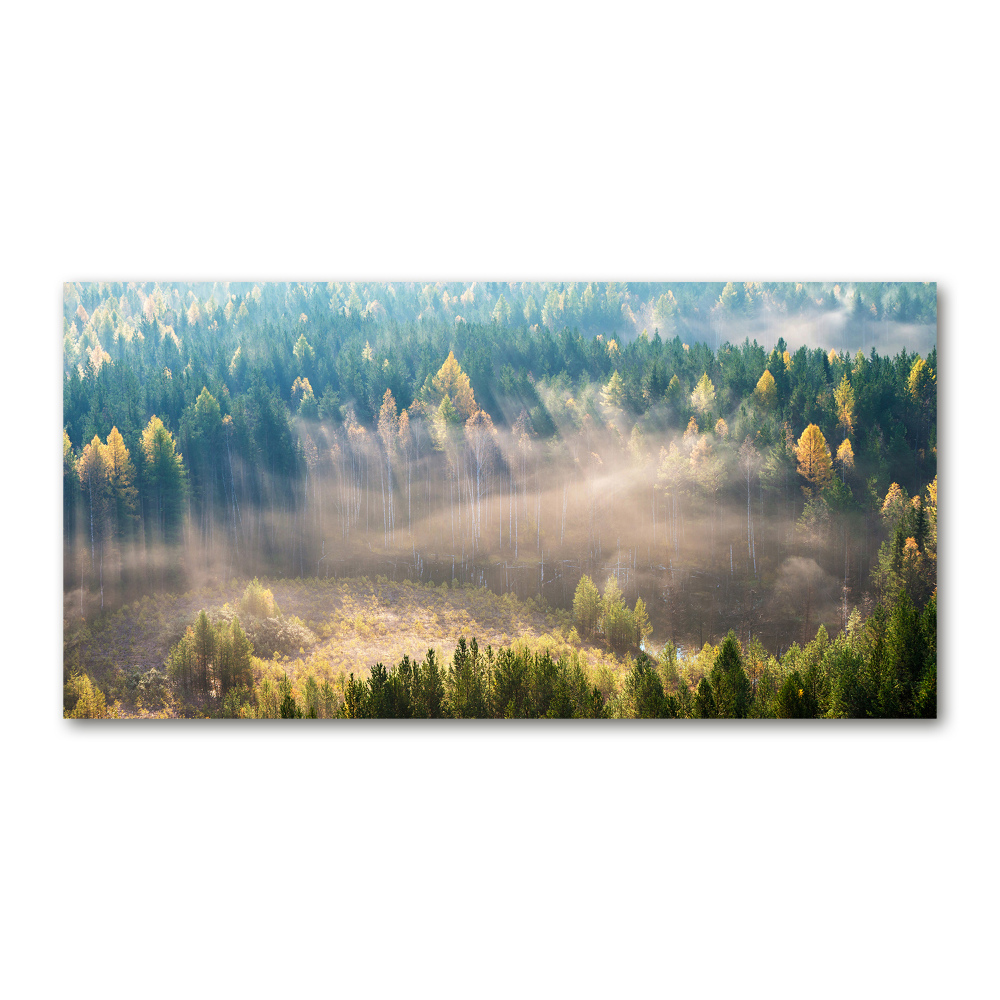 Moderný akrylový fotoobraz Hmla v lese