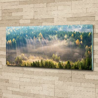 Moderný akrylový fotoobraz Hmla v lese