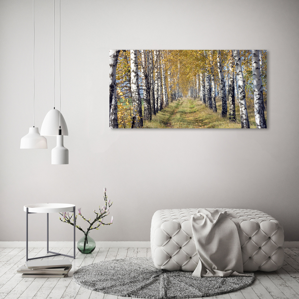 Moderný akrylový fotoobraz Brezy jeseň