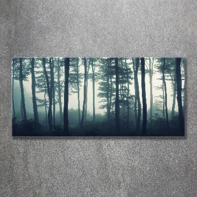 Foto obraz akrylový Les v hmle