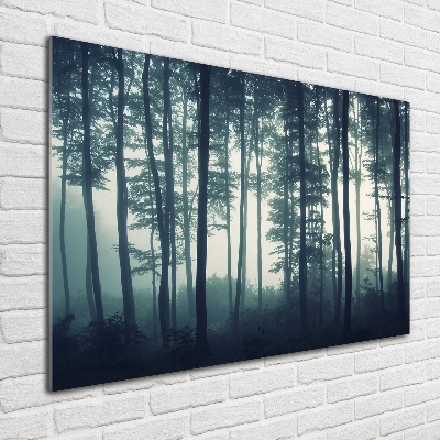 Foto obraz akrylový Les v hmle