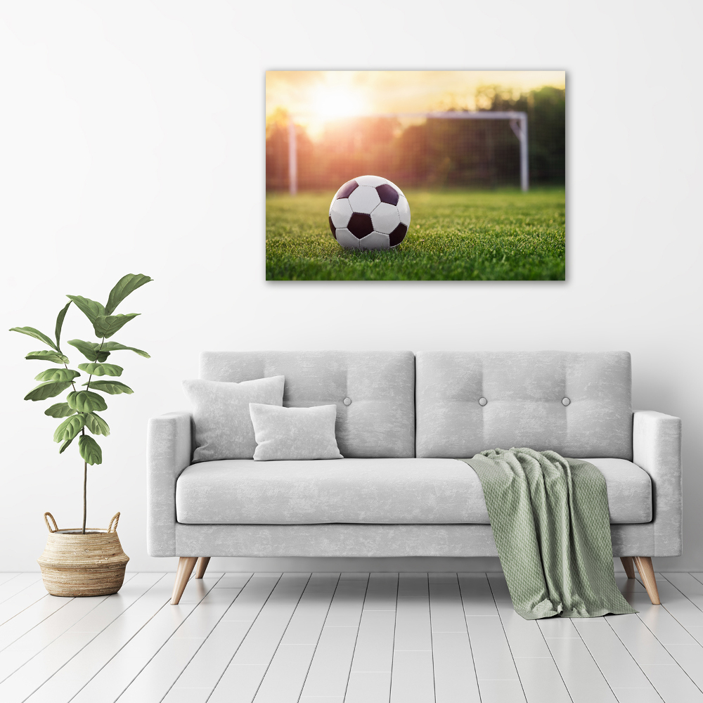 Foto obraz akrylový na stenu Futbal