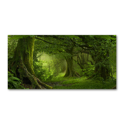 Foto obraz akrylový Tropická džungľa