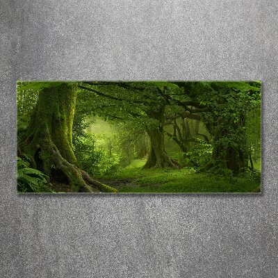 Foto obraz akrylový Tropická džungľa