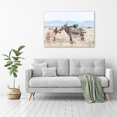 Foto obraz akrylový na stenu Zebry v horách