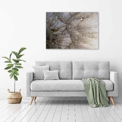 Moderný akrylový fotoobraz Semeno púpavy