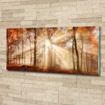 Foto obraz akrylový do obývačky Hmla v lese jeseň