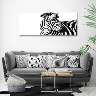 Foto obraz akrylový do obývačky Zebra v snehu