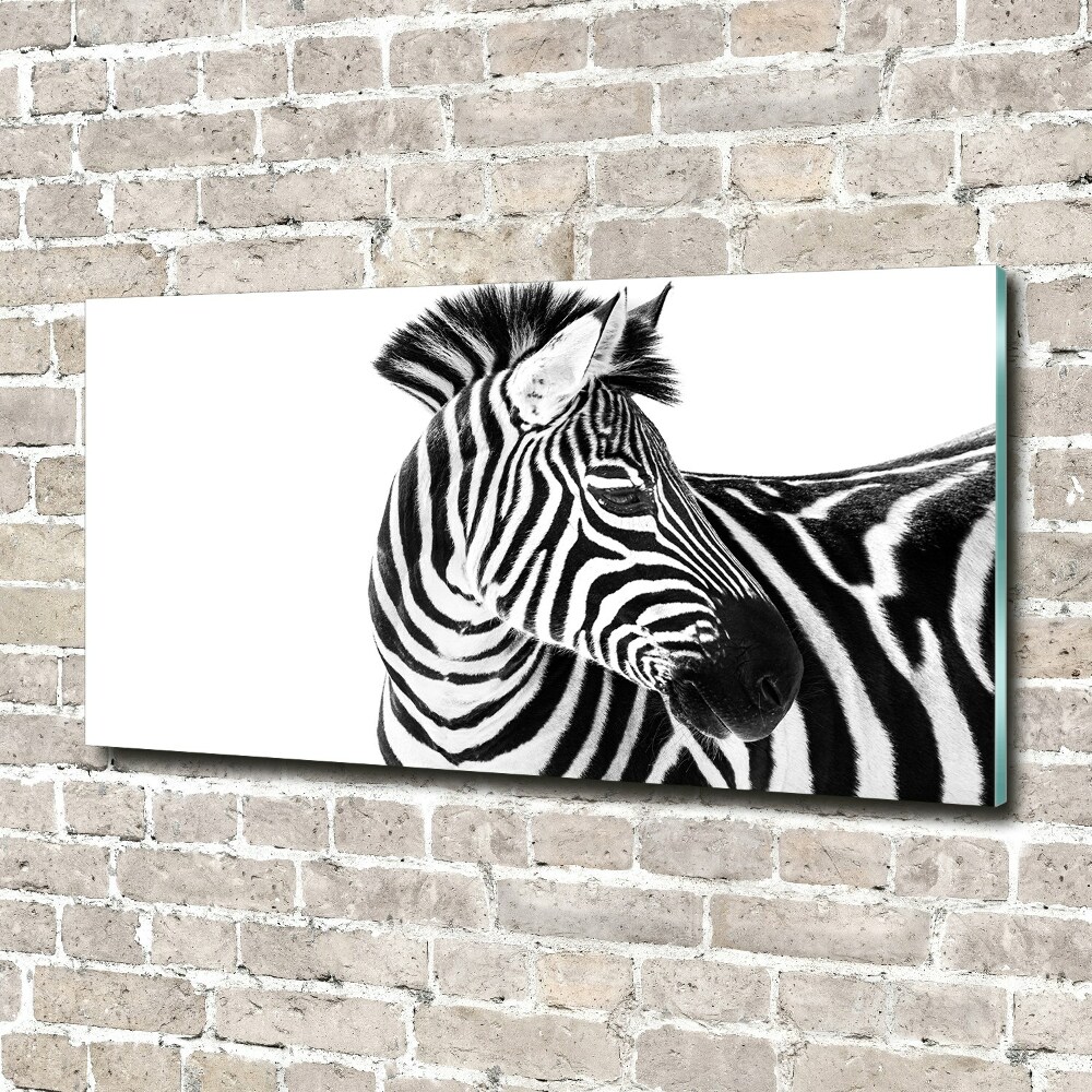 Foto obraz akrylový do obývačky Zebra v snehu