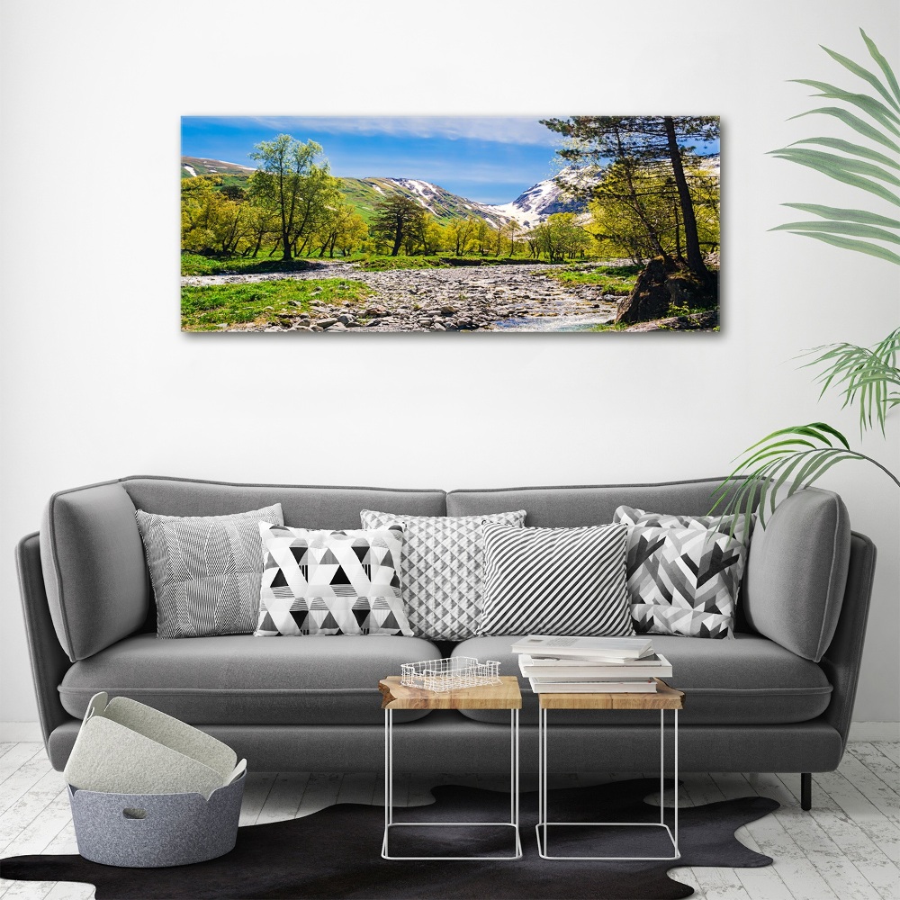 Foto obraz akryl do obývačky Rieka v horách