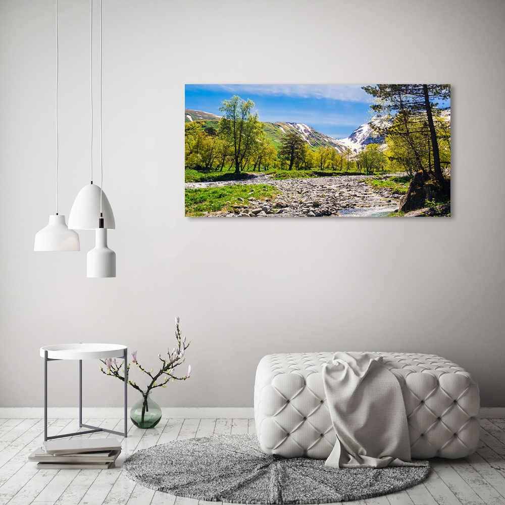 Foto obraz akryl do obývačky Rieka v horách